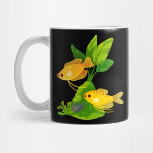 Freshwater fish and plants - Gourami Mug